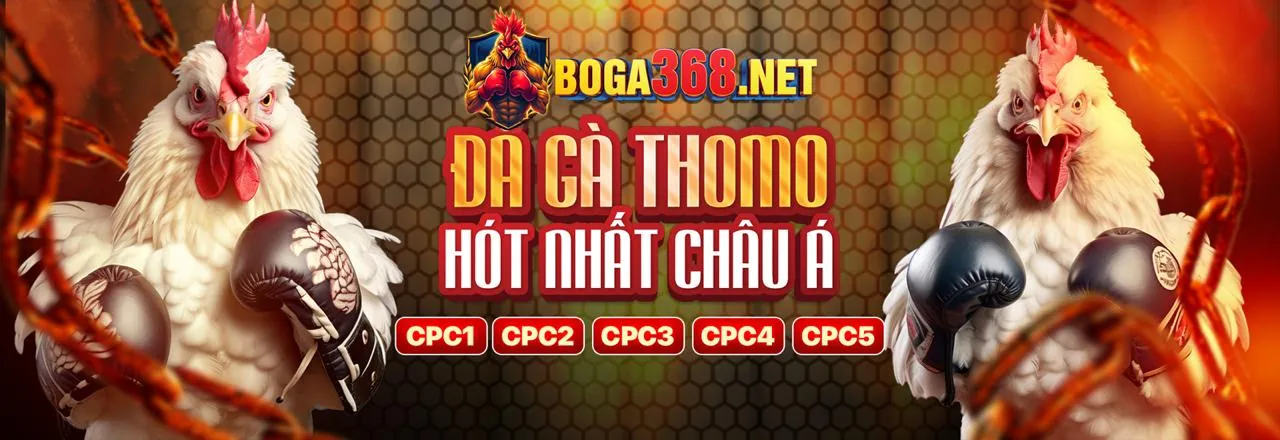 Sân chơi Đá Gà go99 chính thức 2026